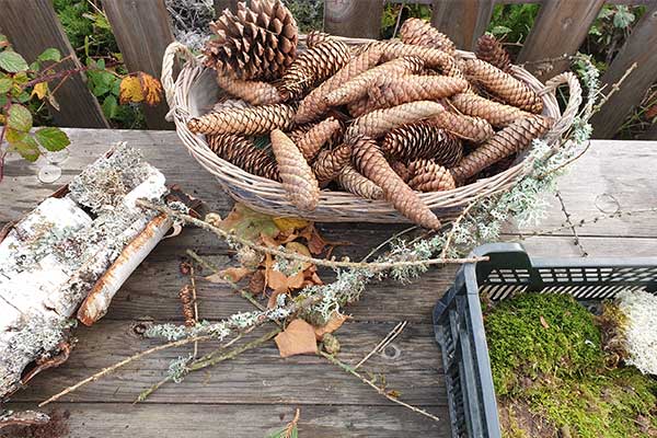 l'Atelier des Herbes Folles - composition d'automne - trésors de la nature